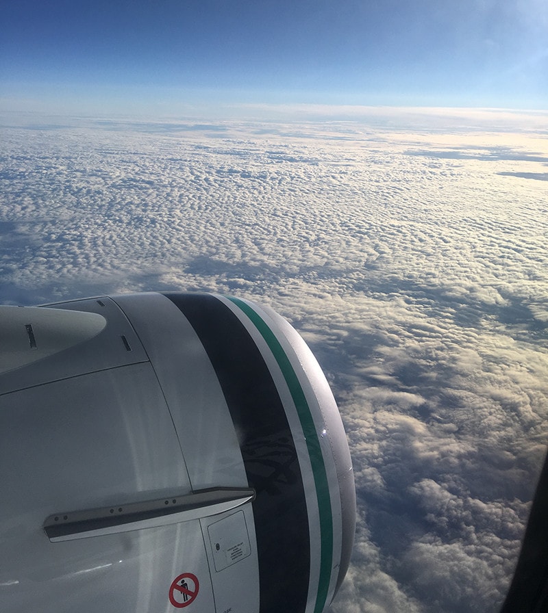 alaska-air-flight-view