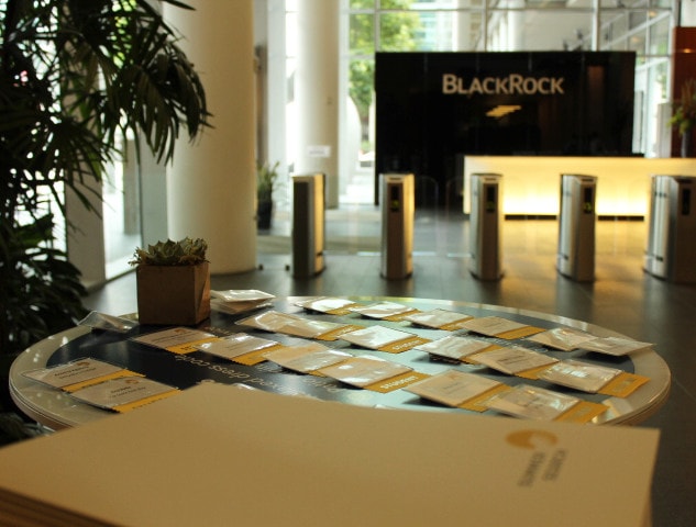 BlackRock and Summer Search